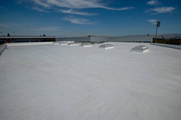 Best Commercial Roofing Services  in Mount Vernon, AL