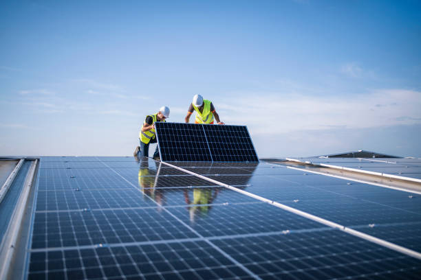 Best Roof Maintenance and Cleaning  in Mount Vernon, AL