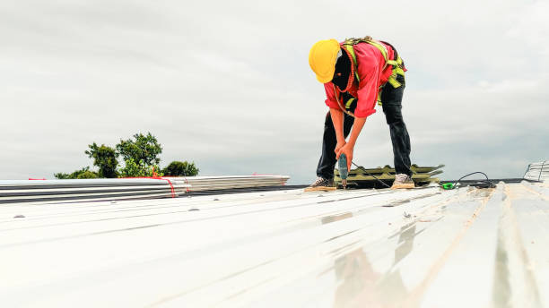 Best Asphalt Shingles Roofing  in Mount Vernon, AL