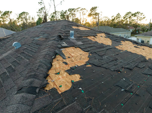 Best Roof Moss and Algae Removal  in Mount Vernon, AL