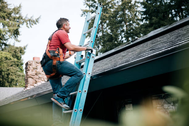 Best Storm Damage Roof Repair  in Mount Vernon, AL