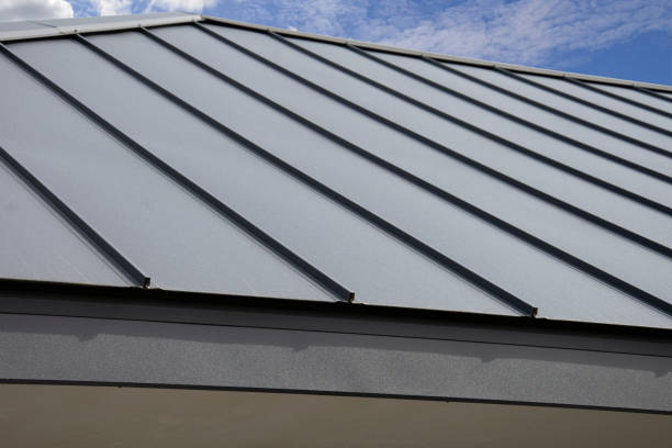 Best Roof Coating and Sealing  in Mount Vernon, AL