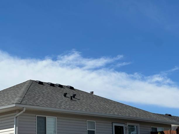 Best Emergency Roof Repair  in Mount Vernon, AL